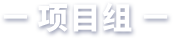 项目组